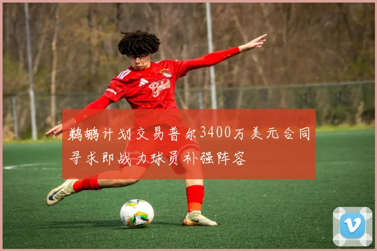 鹈鹕计划交易普尔3400万美元合同寻求即战力球员补强阵容